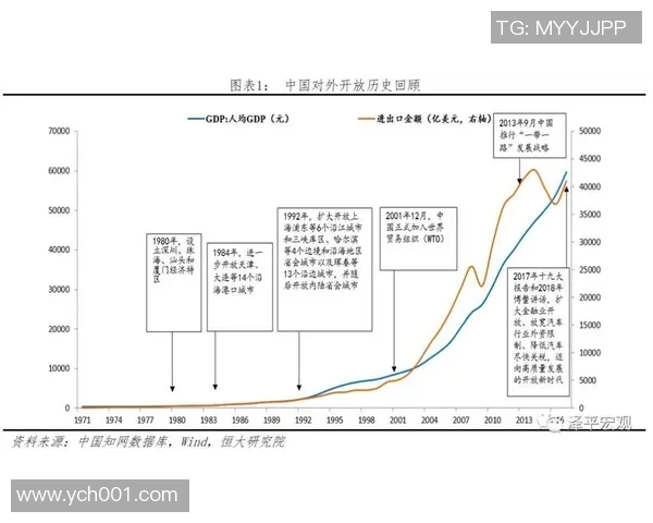 中国足球级别解析与发展现状探讨及未来展望