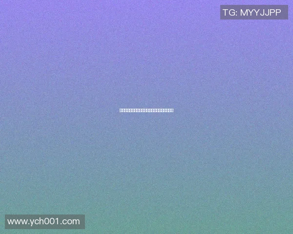 洛杉矶篮球明星的璀璨星空谁才是最闪耀的那颗星